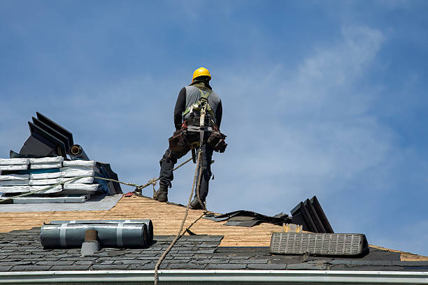 Professional Metal Roofing technician working in Harrison, ME